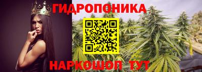 эйфоретик Дубна