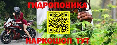 эйфоретик Дубна
