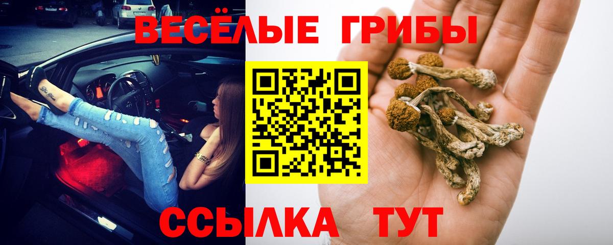 Псилоцибиновые грибы Psilocybine cubensis Мелеуз